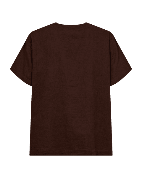 Hovedbilde LAVA LIN/VISCOSE BLUSE V-HALS - BRUN