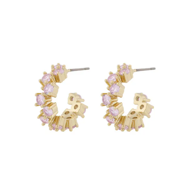 Bilde av SNÖ OF SWEDEN - ENVY MINI ØRERINGER M/BLING - ...